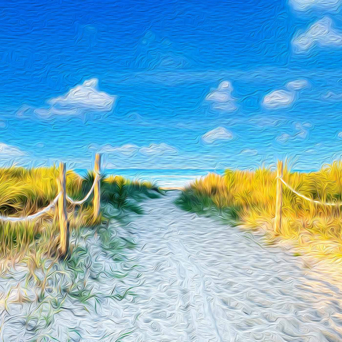 Road to the Beach (Plum Island)